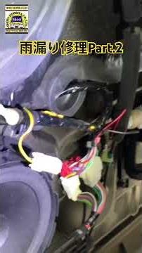 #LeakingRoofRepair #Serena #SlidingDoor #mechanic