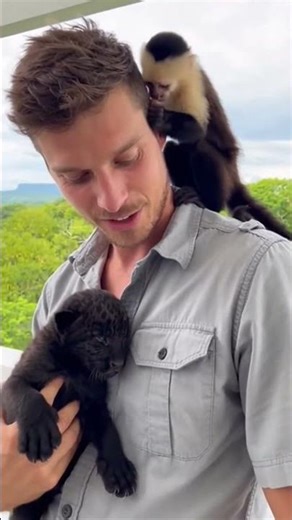 A Black Cub Finds Peaceful Days #viral #trending #short