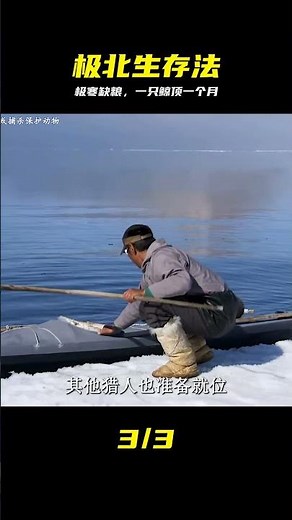 在極度匱乏的北極，一只獨角鯨足夠因紐特人一個月的口糧， #独角鲸，北极生存，因纽特人，极寒困境，珍贵资源