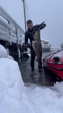 Arctic spearfishing! #fishing #spearfishing