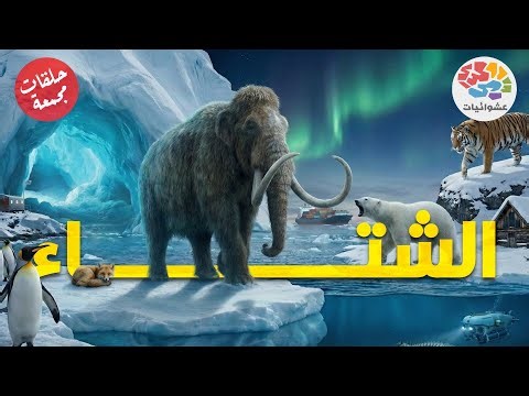 الشتاء والسقعة والبرد | حلقات مجمعة
