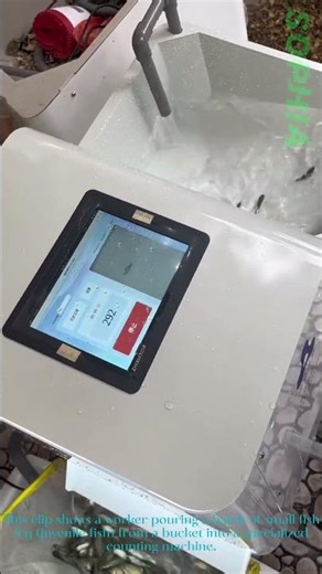 Fish Fry Counter: Loading Juvenile Fish Into a Counting Machine