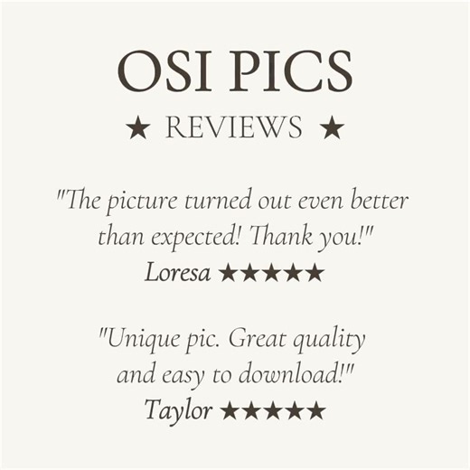 Vintage German Wirehaired Pointer Painting, Antique Wirehaired Pointer Print, Rustic Pointer Wall Art, Digital Download, Printable Wall Art - Etsy