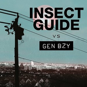 Insect Guide – Insect Guide Vs Gen Bzy (2022) » download by NewAlbumReleases.net