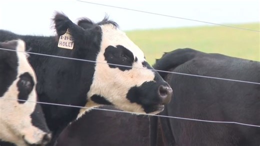 West Virginia farmers urged to apply for drought recovery aid as deadline nears