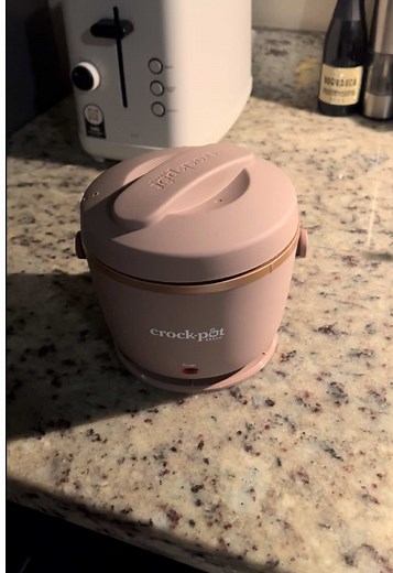 Easy Leftover Chicken and Rice in Mini Crock Pot