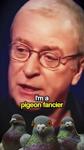 Michael Caine Funniest Movie Lines #screenwriter #screenwriting #screenplay #film #movies #hollywood #filmmaking #cinema #movies #story #interview #advice #tips #storytelling #storyteller #famous #acting #michaelcaine #alfie | Winner Mentality