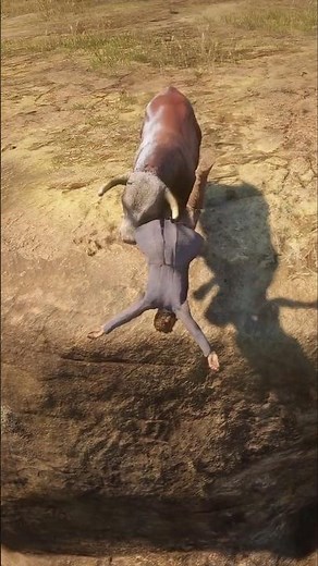 Great Survival Skills vid1081