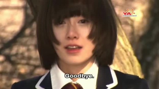 Boys Over Flowers (TV Series 2009)