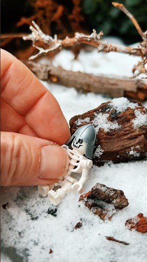Building a Frozen LEGO World in a Bird Bath ❄️