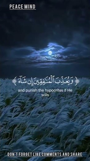 Quran Recitation | Beautiful Quran Tilawat | Soothing & Heart Touching Quran #quranrecitation