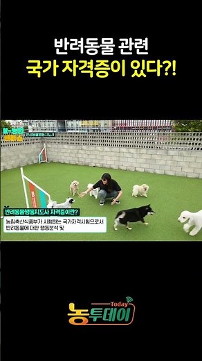 국가자격증으로 인증된 전문가, 반려동물행동지도사 🐾
