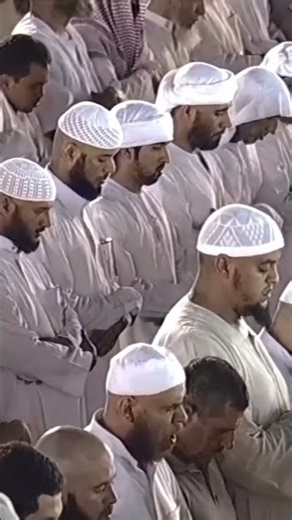 Amazing recitation by Sheikh Maher al Muaiqly😻❤️