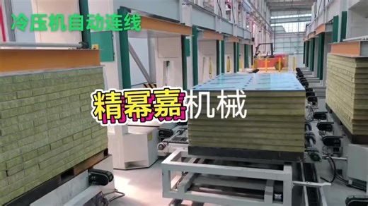 Precise Machine factory- Cold press auto line.satbly and move faster. AI chose which working unit finishes then output and input to empty it