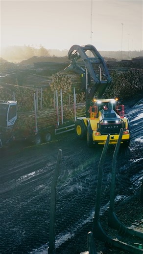 Volvo Construction Equipment EMEA | Working in timber or high-lift logging applications? Then you need strength, reach, stability, and uptime in one machine! The new-gen... | Instagram
