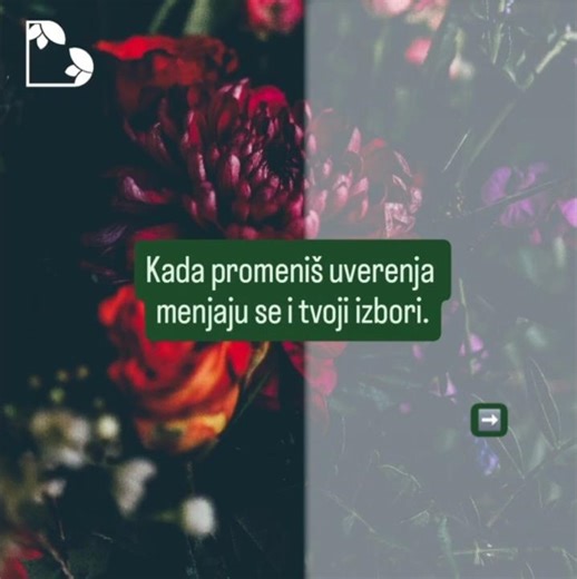 5-nedeljni proces promene uverenja - mentorski program STOP ograničenjima #uverenja