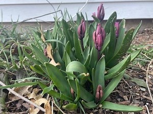 Temperatures To Drop As Spring Approaches The Hudson Valley