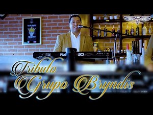 UD6 TRIBUTO A BRYNDIS