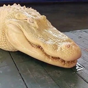 2.4K reactions · 556 shares | One of a kind stands out! 濾 Make your business unique and unrepeatable with the perfect website! ✔️ Video: Courtesy of Gatorland Orlando | HostGator | Facebook