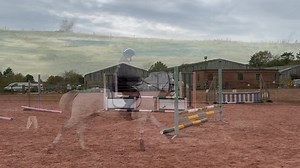 SOLD 🦄 TONY🦄 aka Tony the pony Easy, talanted, fun and safe young pony with an exciting future! X I love you Melody! - 14.2 - Connemara - Gelding - rising 5yo - N/N - 🌟 Old head on young shoulders type. Not spooky or silly. Never bucked, reared, napped. 🌟 3 beautiful, light paces. Light and soft in the mouth. Goes beautifully on the flat with good transitions and loads of potential. Powerful hind leg and very well balanced. 🌟 Bold and brave to all types of fences. Keeps his rhythm in and ou