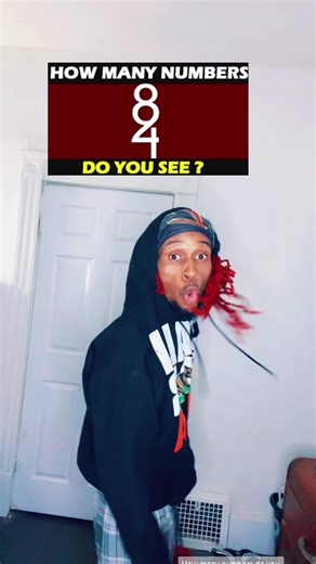 How Many Numbers Can You See?