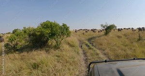 A 4x4 drives through the savannah in Kenya