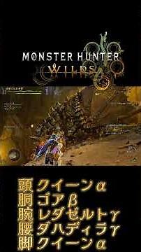 ヌシゴア通常ライト装備で極熱重鎧グラビモス [MHWilds]