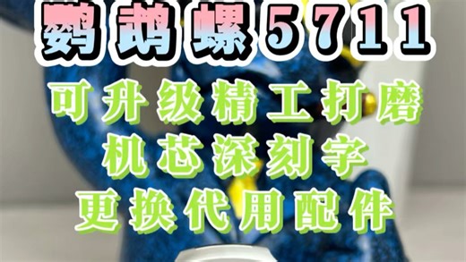 关于鹦鹉螺5711的一些新玩法！私人定制CNC开模壳套对版原装数据 整表精工打磨抛光 更换代用四件套 升级无卡度配重砝码一体机芯等 认准本人声音 请品鉴
