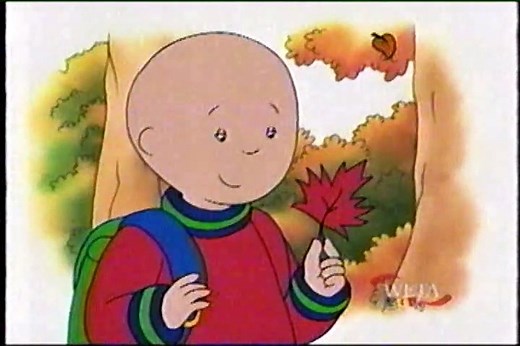 Caillou: Try, Try Again (WETA Kids airing) - video Dailymotion