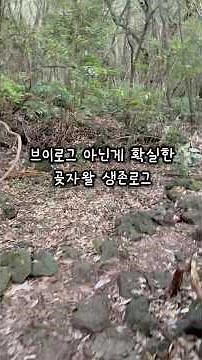 제주 곶자왈 도립공원 생존 로그(원본 40분 분량;) #꿀초아여행기