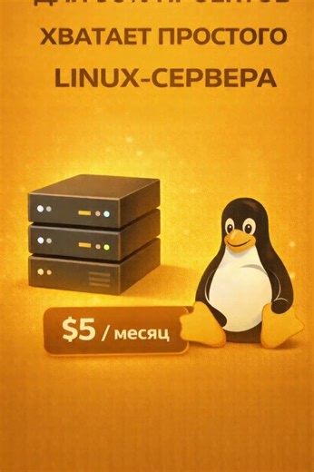 Аренда Сервера #server #hosting #python