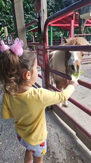lovely pony #babygirl #cutebaby #cute #farm #farmer #fun #funny #shorts