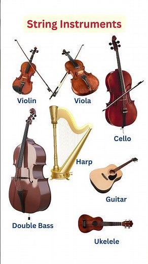 String Instruments