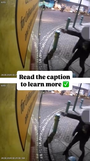 9.6K views · 295 reactions |  You call 999 for help… then ATTACK the...