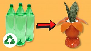 DIY Flower Pot Made From Plastic Bottles