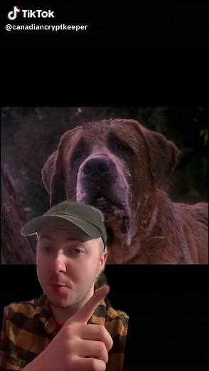 Behind the Scenes of Cujo: On-Set Challenges