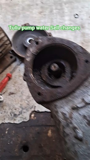 Tullu pump Water Sell Change #hype #shortsfeed #electrical #repair #homeappliance #xmyexprt