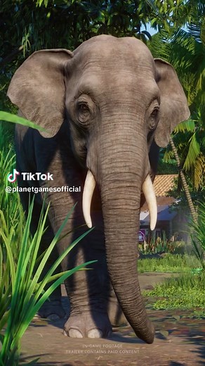Explora Asia con el Pack de Animales de Planet Zoo