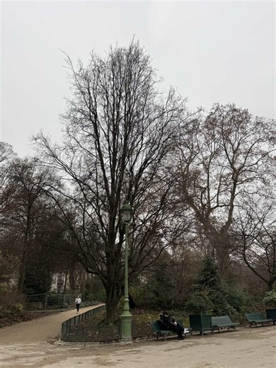 Mon dernier jour à Paris : vlog détente et bonnes vibes