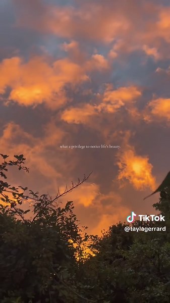 Tayla Gerrard on TikTok