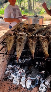 Acari assado na brasa. Um peixe tradicional na região oeste do Pará (o acari) alimentando uma tradição no interior do município de Santarém, na região oeste do Pará. E o igarapé servindo de referência para o consumo aos moldes locais. | Turismo Aqui