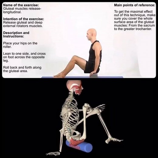 New videos available in the Strength Training App. . Release gluteal and deep external rotators muscles. . ⚫️Description and instructions: 1️⃣ Place your hips on the roller. 2️⃣ Lean to one side, and cross on foot across the opposite leg. 3️⃣ Roll back and forth along the gluteal area. . ⚫️Main points of reference: To get the maximal effect out of this technique, make sure you cover the whole surface area of the gluteal muscles: From the sacrum to the greater trochanter🎯 . Login to the Strength