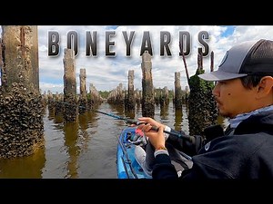 An AMAZING Sheepshead Spot! - Georgia Boneyards