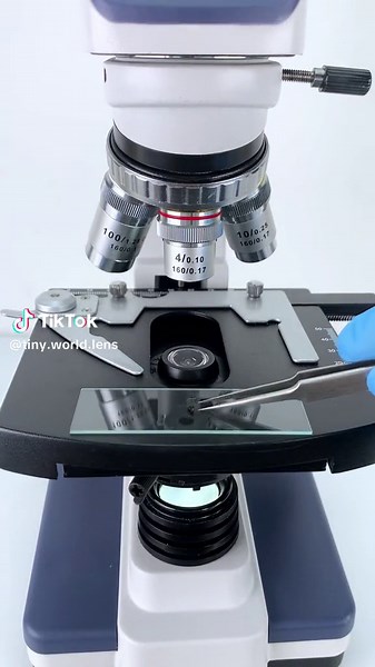 Exploring Nail Dust Under a Microscope at 400x Magnification!