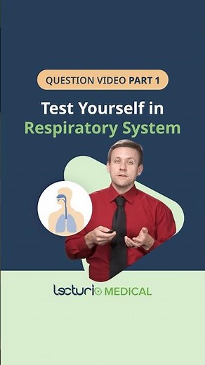 How Many Lobes Does the Right Lung Have?