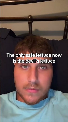 The only safe lettuce now is the devil’s lettuce