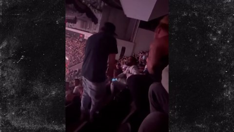 Video of Wild Fight Between Fans in Stands at UFC 302