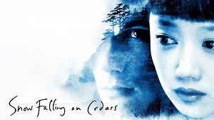 Snow Falling on Cedars - Apple TV