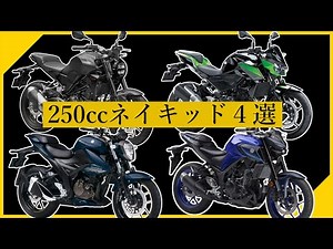 [2023] Top 4 Japanese 250cc Naked Bikes