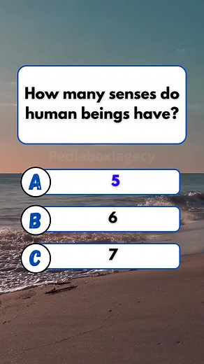 28K views · 1.7K reactions |  Human Facts: How Many Senses Do Humans Have?  #quiz #QuizTime #fun #noblequiz #fblifestyle | Pediabox Lagecy | Facebook